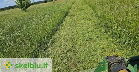 Bendruomenė besidalijanti maistu ant žolės