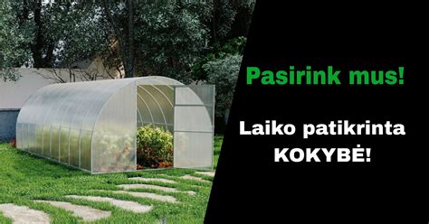Sūryme mirkytos daržovės