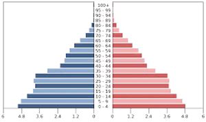 Skirtingų demografinių pakopų gyventojų amžiaus piramidžių tipai