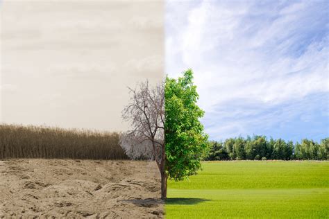 Klimato kaitos poveikis Žemei