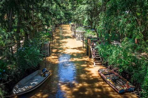 El Tigre delta su laiveliais