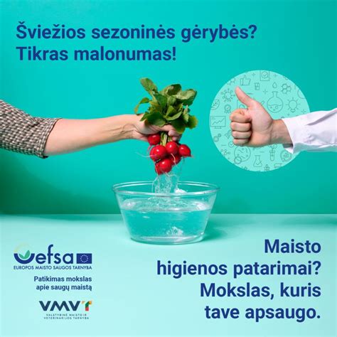 Maisto ruošos higienos patarimai