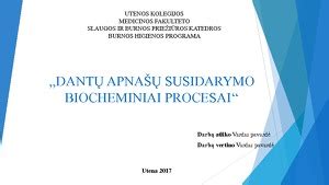 Biocheminiai procesai duonos gamyboje