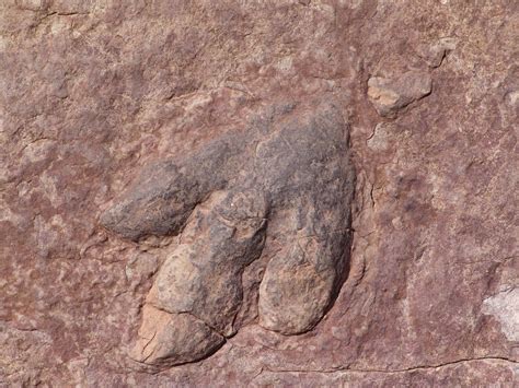 Lesoto dinozaurų pėdsakai