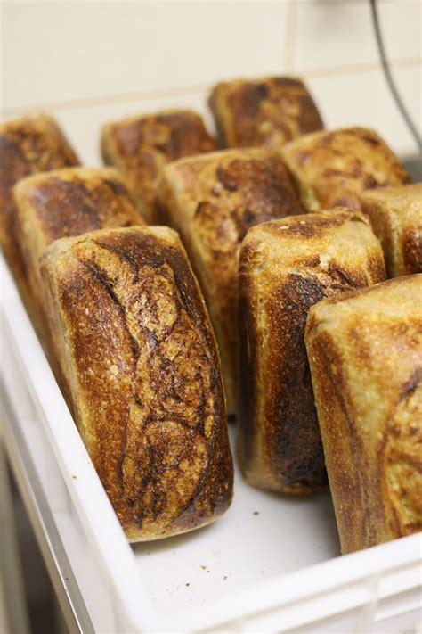 Sourdough duonos raugo nuotrauka