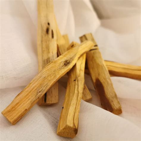 Palo Santo medžio iliustracija su smilkstančiomis lazdelėmis