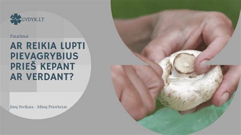 paruoštos bulkos prieš kepant