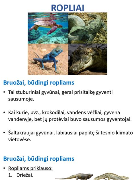 Šarvuoti ropliai