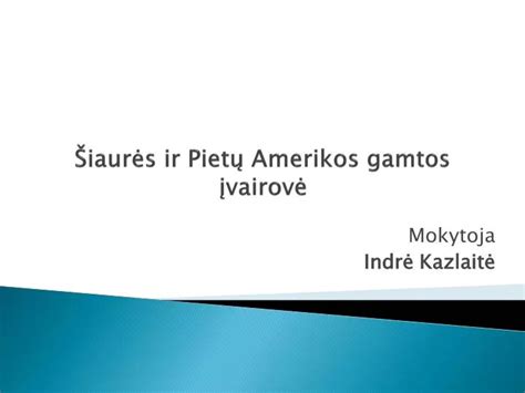 Pietų servizų įvairovė
