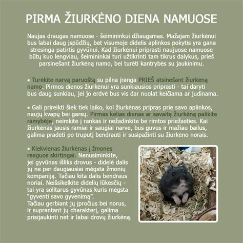 Putpelės patelė ir patinėlis