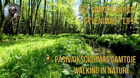 Žemaitijos gamtos vaizdas pavasarį