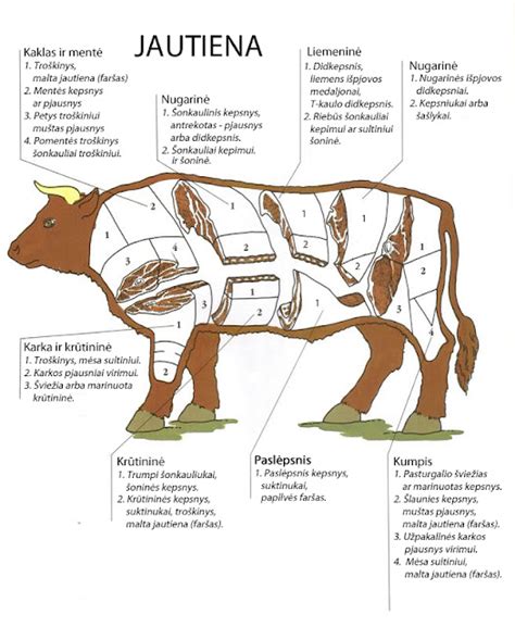 Jautienos pjovimo schema