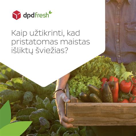 Infografika apie maisto pristatymo procesą