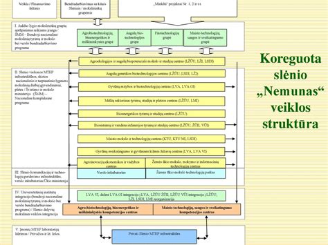 Mokslinių tyrimų finansavimo schema Pietų Afrikoje