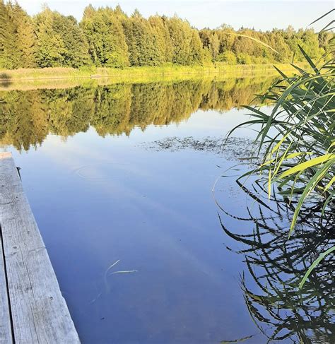 Žvejys prie vandens telkinio karštą vasaros dieną