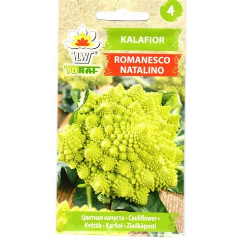 Romanesco žiediniai kopūstai fraktalais