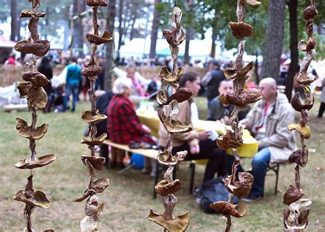 Grybų šventė Varėnoje