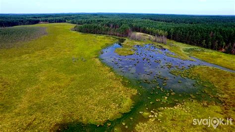 Čepkelių raisto vaizdas