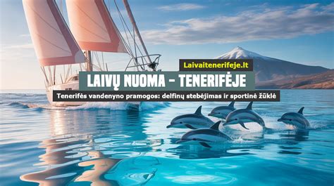 Delfinų stebėjimas Atlanto vandenyne