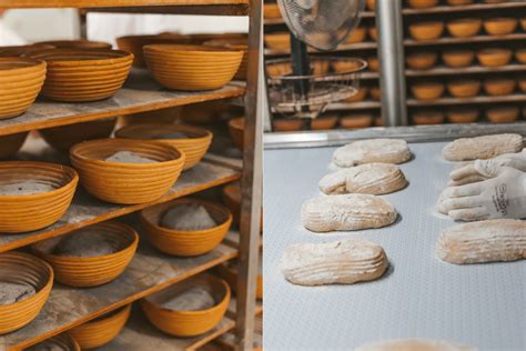 duonos kepimo procesas modernioje kepykloje