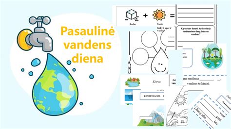 Pasaulinė vandens paukščių apskaitų tinklo schema