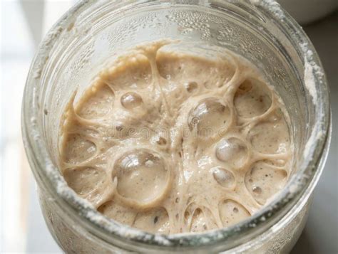 Sourdough starter (raugas) in a glass jar with bubbles