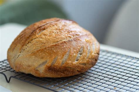 Freshly baked sourdough bread on a cooling rack