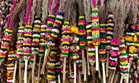 Verbų sekmadienio verbos