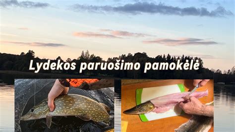 Lydekos valymas ir paruošimas