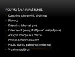 Gaisrų dūmų poveikis žmogaus kvėpavimo takams