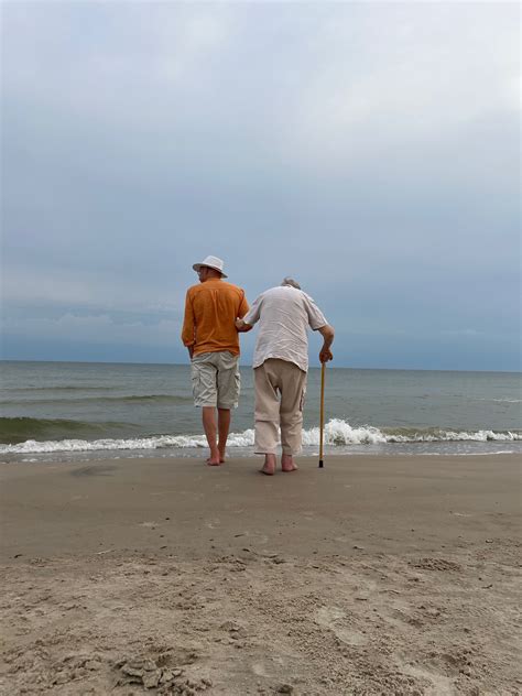 Simbolinis vaizdas su slapukais ir interneto naršykle