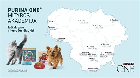 schemą rodanti kačių mitybos tipus