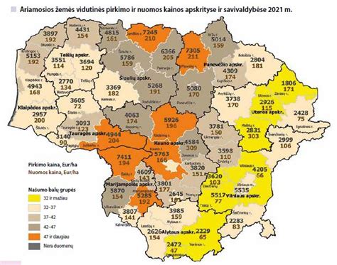 Automobilio nuomos kainų palyginimas internetu