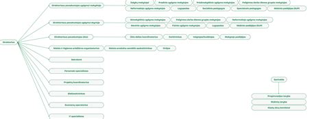 diagrama su dažniausiais maisto alergenais ir jų poveikiu