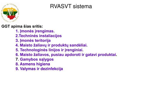 RVASVT sistemos diagrama: etapai ir valdymas