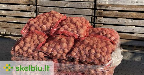 Lietuviškos bulvės