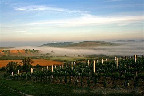 Tokajaus vyno regiono kraštovaizdis su vynuogynais ir upėmis
