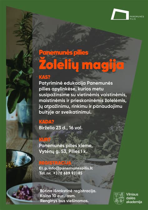 Panemunės pilies lobio paieškos schema
