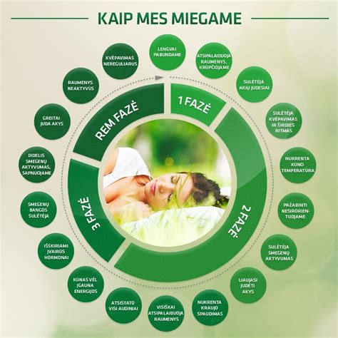 Miego fazės diagrama