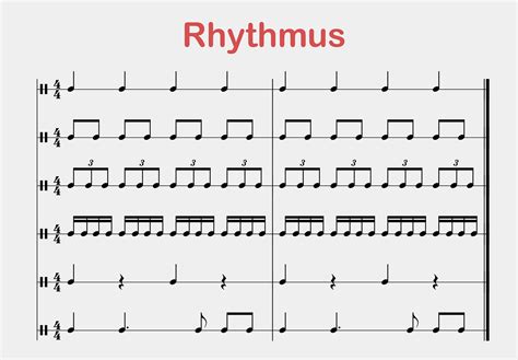 Cirkadinio ritmo schema