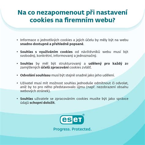 Slapukų (cookies) veikimo principo infografika