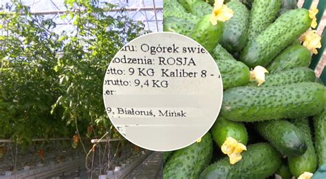 infografika apie daržovių importo kelius į ES