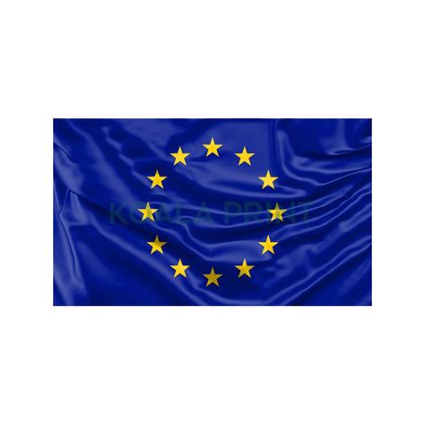 Rėmėjų logotipai ir Europos Sąjungos vėliava