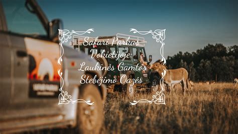 Laukinės gamtos safaris Krugerio nacionaliniame parke