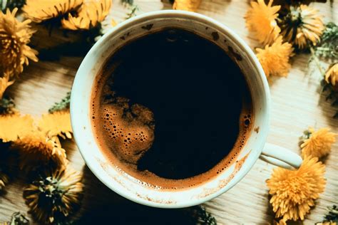 Kiaulpienių šaknys ir paruošta kava