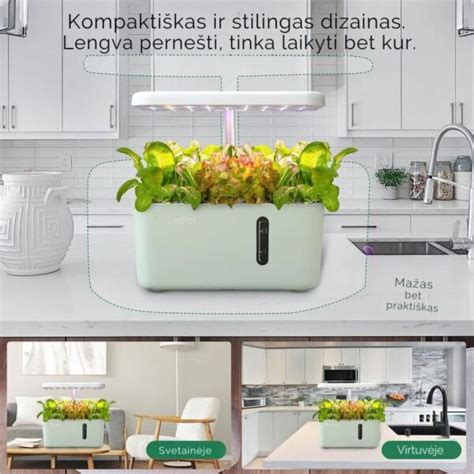 Hidroponinė sistema lapiniams kopūstams auginti