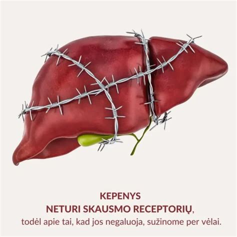 informacinė schema apie kepenų naudą sveikatai