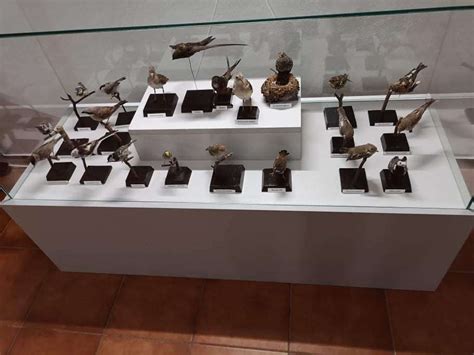 Rokiškio krašto muziejus ir dvaro ansamblis