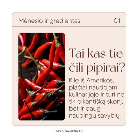 Įvairios rūšies čili pipirai