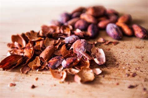 Fine Aroma ir Forastero kakavos pupelių palyginimas